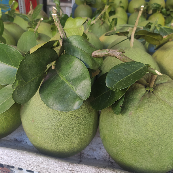 Bưởi da xanh